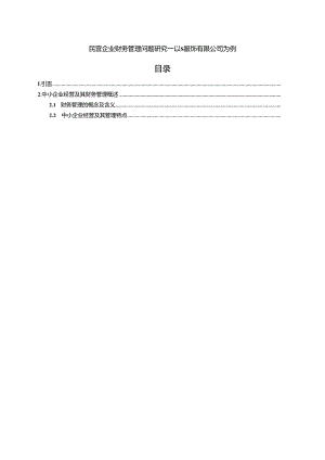 【《民营企业财务管理问题研究：以S服饰有限公司为例》8700字（论文）】.docx