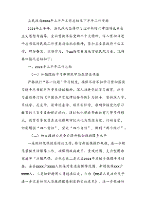 县民政局2024年上半年工作总结及下半年工作安排.docx