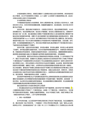 乡镇挂职锻炼心得体会.docx