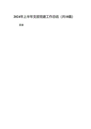 2024年上半年支部党建工作总结10篇供参考.docx