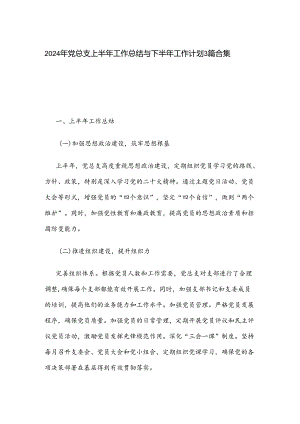 2024年党总支上半年工作总结与下半年工作计划3篇合集.docx