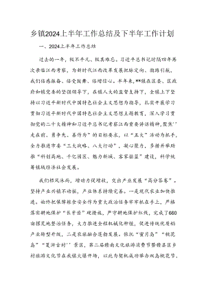 乡镇2024上半年工作总结及下半年工作计划.docx