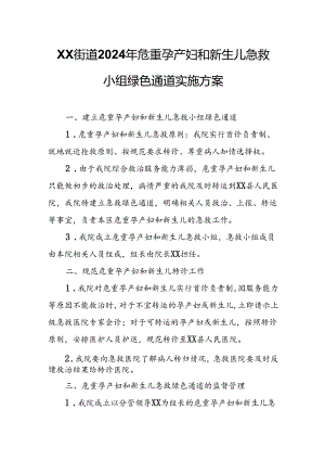 XX街道2024年危重孕产妇和新生儿急救小组绿色通道实施方案.docx