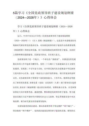 5篇学习《全国党政领导班子建设规划纲要（2024—2028年）》心得体会.docx