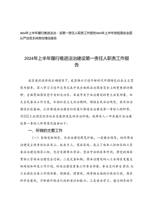 2024年上半年党组落实全面从严治党主体责任情况报告、2024年上半年履行推进法治建设第一责任人职责工作报告.docx