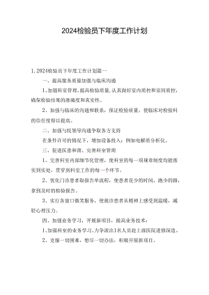 2024检验员下年度工作计划.docx