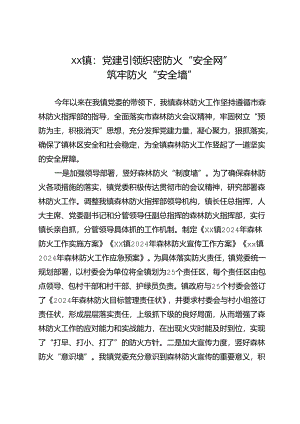 xx镇：党建引领织密防火“安全网”++筑牢防火“安全墙”.docx