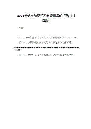 2024年党支党纪学习教育情况的报告12篇（精选）.docx