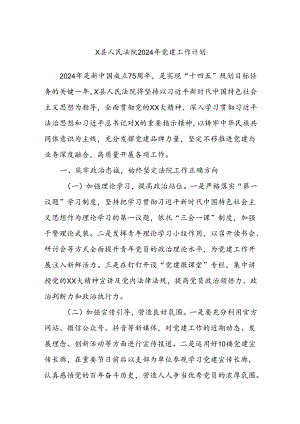 X县人民法院2024年党建工作计划.docx