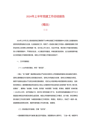 2024年上半年党建工作总结报告（精选）.docx