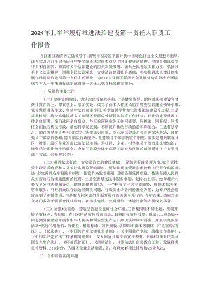 2024年上半年履行推进法治建设第一责任人职责工作报告.docx