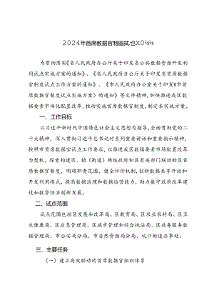 2024年首席数据官制度试点工作方案.docx