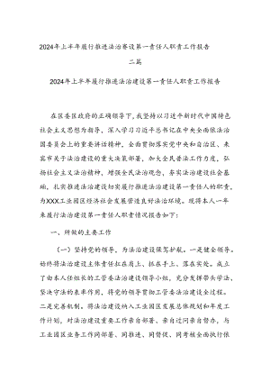 2024年上半年履行推进法治建设第一责任人职责工作报告二篇.docx