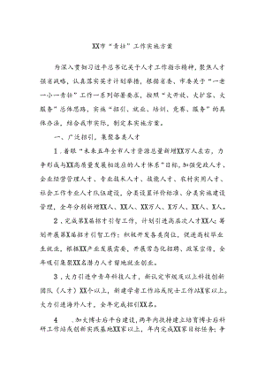 XX市“青壮”工作实施方案.docx