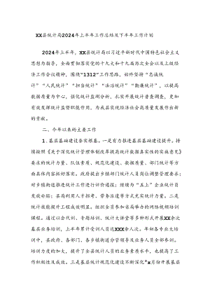 XX县统计局2024年上半年工作总结及下半年工作计划.docx