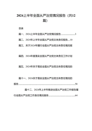 2024上半年全面从严治党情况报告（合计12份）.docx