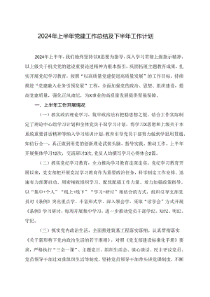 2024年上半年党建工作总结及下半年工作计划.docx