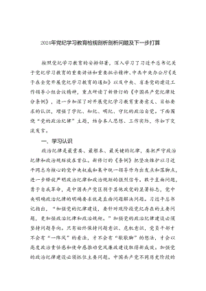 2024年党纪学习教育检视剖析剖析问题及下一步打算9篇（精选版）.docx