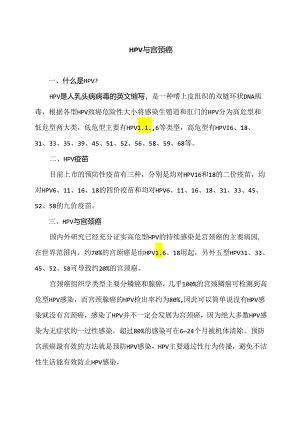 HPV与宫颈癌（2024年）.docx