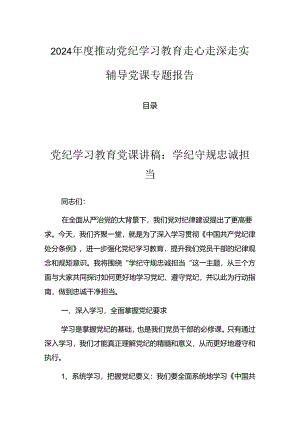 2024年度推动党纪学习教育走心走深走实辅导党课专题报告.docx