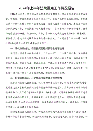 2024年上半年法院重点工作情况报告.docx