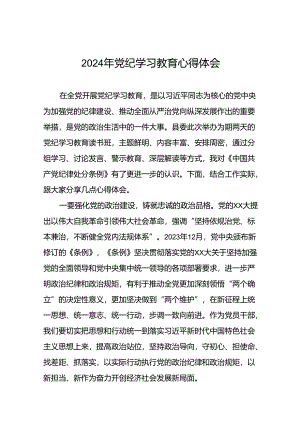 2024年党纪学习教育六项纪律研讨发言稿(十五篇).docx