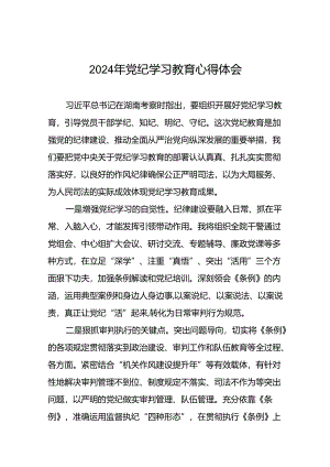 2024年党纪学习教育关于六大纪律的研讨发言稿(十五篇).docx