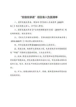 “双容双承诺”项目准入负面清单.docx