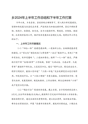 乡2024年上半年工作总结和下半年工作打算 .docx