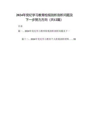 2024年党纪学习教育检视剖析剖析问题及下一步努力方向12篇（精选）.docx