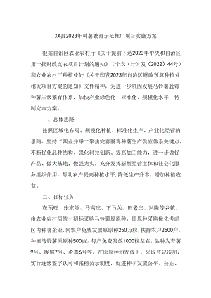 XX县2023年种薯繁育示范推广项目实施方案.docx