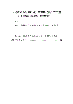 《持续发力纵深推进》第三集《强化正风肃纪》观看心得体会优选12篇.docx