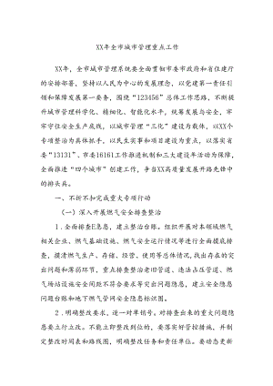 XX年全市城市管理重点工作.docx