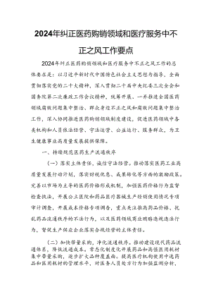 2024年纠正医药购销领域和医疗服务中不正之风工作要点.docx