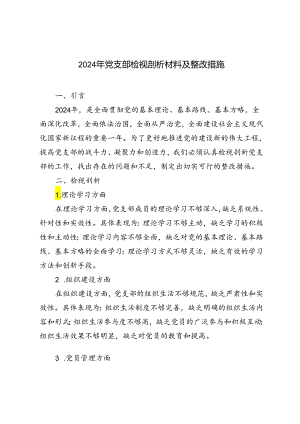 2024年党支部检视剖析材料及整改措施（3篇）.docx