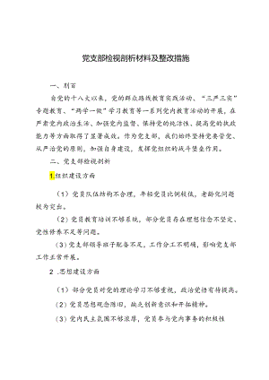 2024年7月党支部检视剖析材料及整改措施.docx