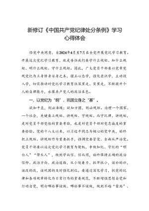 2024版新修订中国共产党纪律处分条例读书班研讨发言十九篇.docx