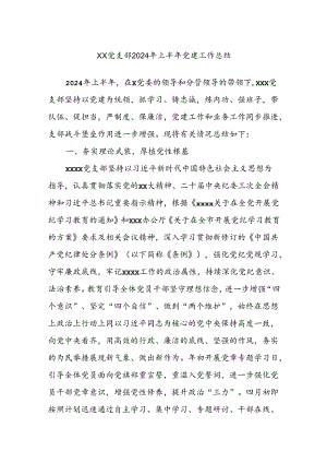 XX党支部2024年上半年党建工作总结.docx