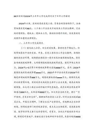 XX区财政局2024年上半年工作完成情况及下半年工作谋划.docx