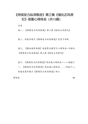 《持续发力纵深推进》第三集《强化正风肃纪》观看心得体会12篇专题资料.docx