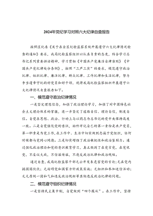 【7篇】2024年党纪学习对照六大纪律自查报告集锦.docx