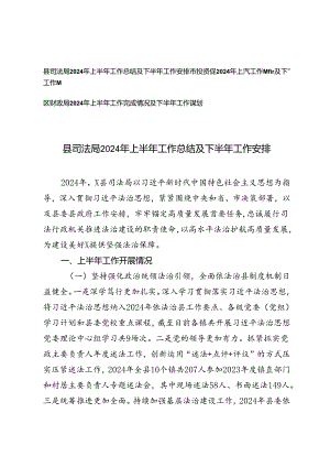 3篇 2024年上半年工作完成情况及下半年工作谋划（县司法局、市投资促进局、区财政局、）.docx