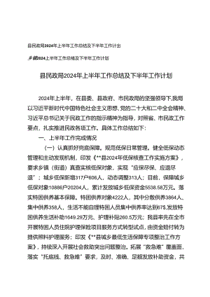 乡镇、县民政局2024上半年工作总结及下半年工作计划.docx