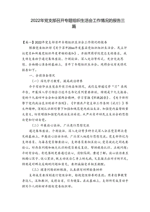 2022年党支部召开专题组织生活会工作情况的报告三篇.docx