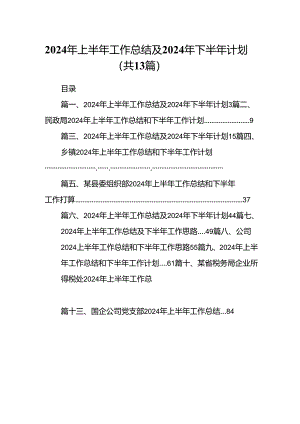 2024年上半年工作总结及年下半年计划13篇供参考.docx