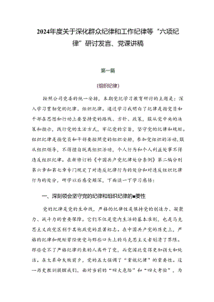2024年度关于深化群众纪律和工作纪律等“六项纪律”研讨发言、党课讲稿.docx
