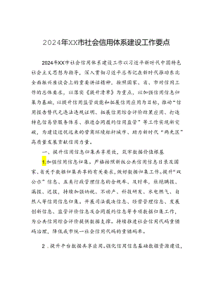 2024年XX市社会信用体系建设工作要点(20240509).docx