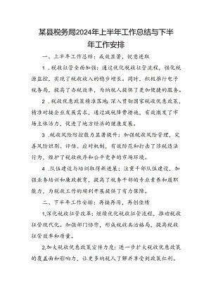 某县税务局2024年上半年工作总结与下半年工作安排.docx