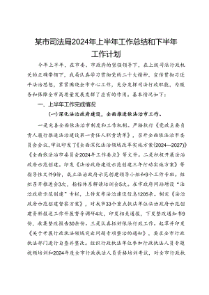 某市司法局2024年上半年工作总结和下半年工作计划.docx