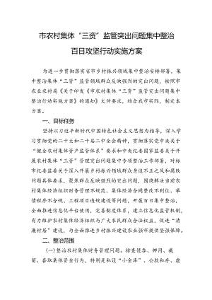 市农村集体“三资”监管突出问题集中整治百日攻坚行动实施方案.docx